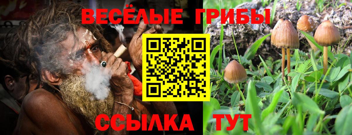 Красногорск  Галлюциногенные грибы Magic Shrooms  Псилоцибиновые грибы прущие грибы  Вход с VPN 